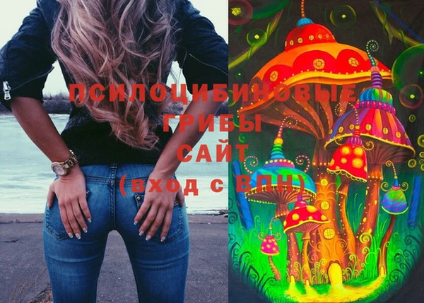 синтетический гашиш Богородицк