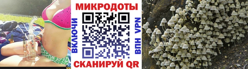 Галлюциногенные грибы GOLDEN TEACHER  Купить  Курганинск 